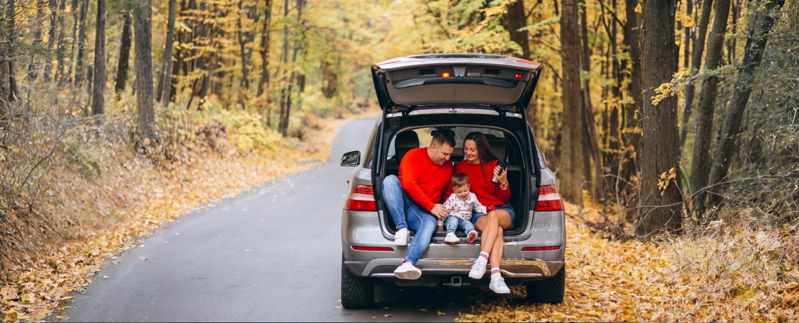  Car Insurance